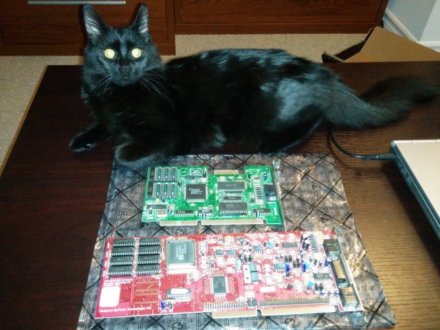 Gravis Ultrasound and Trident TVGA8900C after the memory swap, with my cat!